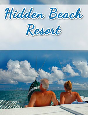 Hidden Beach ebook