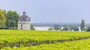 Fort Médoc vineyards near the Gironde on a Bordeaux swinger cruise excursion