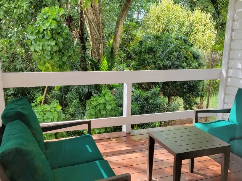 Premium room at Hedonism II resort in Negril Jamaica featuring king bed modern decor and glass shower