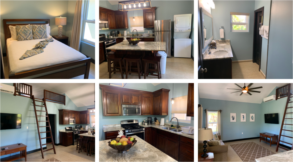 Belize Nude Takeover 2026, Hummingbird Apartment